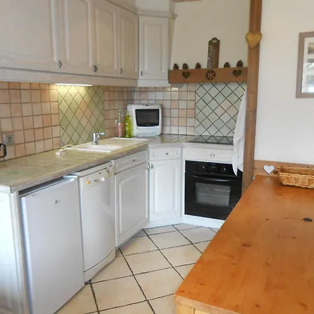 Daire Tres Bel Duplex Spacieux - 8 Pers, Animaux Admis - Fr-1-516-17 Les Deux Alpes